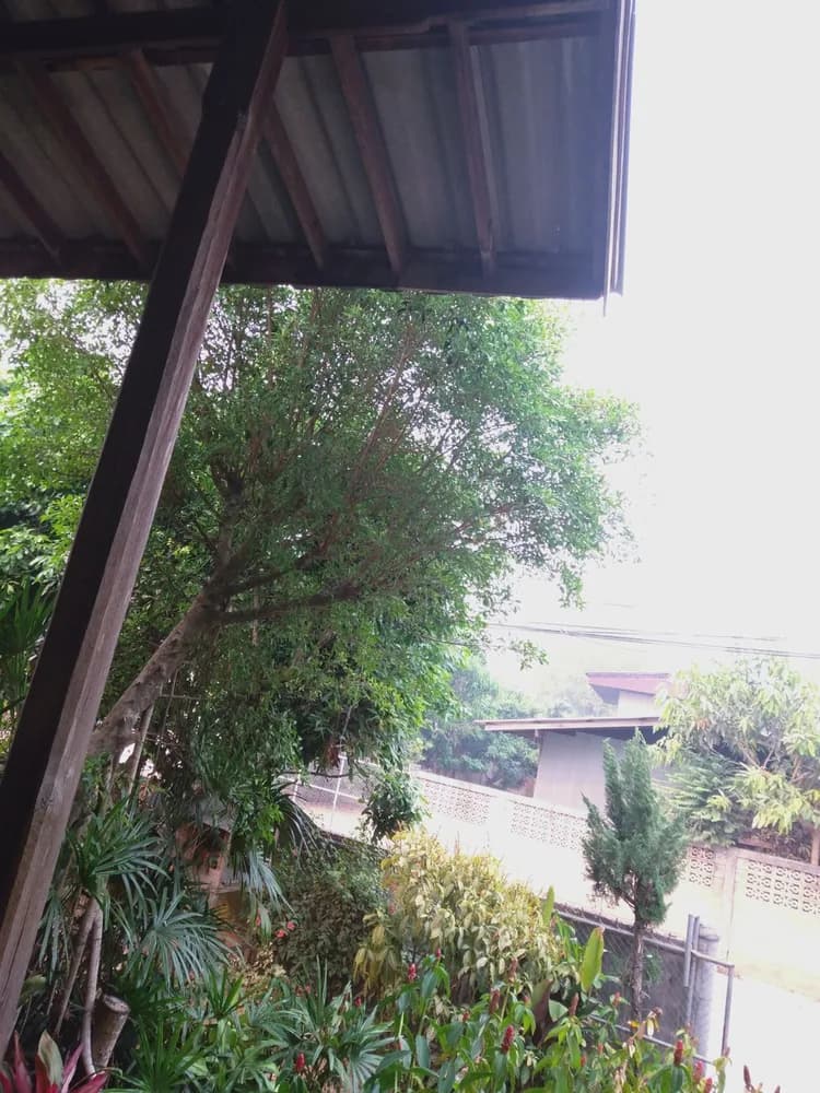Sa Pa – Fansipan – Bản Cát Cát